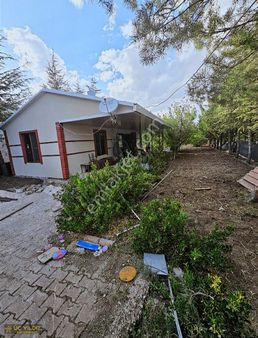 Gödenede İçerisinde İki Adet Bahce Evi Olan Yerimiz Satılık