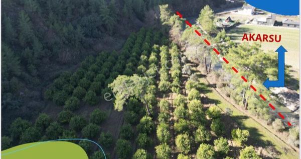 Günel Emlaktan Acil Satılık Tarla