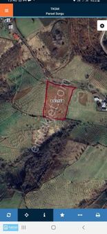 Samsun Canik Adatepe'de 9800 M2 Satılık Tarla Ve Fındık Bahçesi