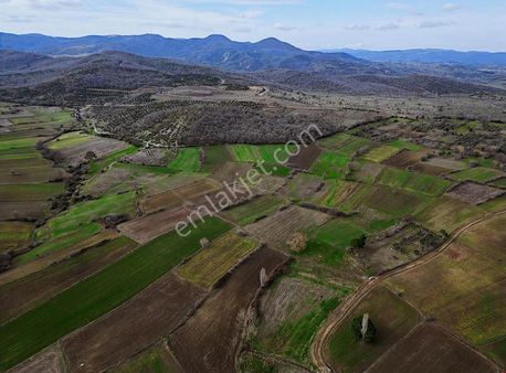 Çanakkale Biga 3400m2 Satılık Tarla
