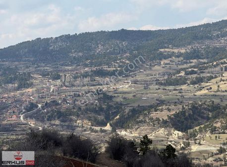 Erkuş Gyodan Çameli Çamlıbelde Manzaralı Fırsat Tarla