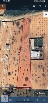 Anadolumdan Bağlarbaşında A2 Ham İmar İçi Bağevlik Arazi