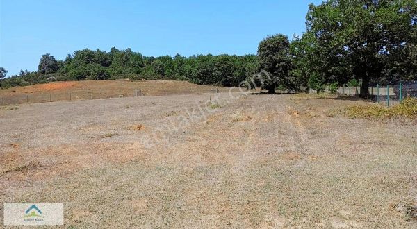 Gebze Cumaköyü Etrafı Çit Telle Çevrili Müstakil Tapu 9.172 M2