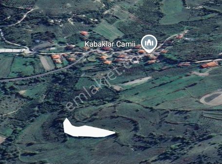 Köye Çok Yakın Yollu Çevreye Hakim