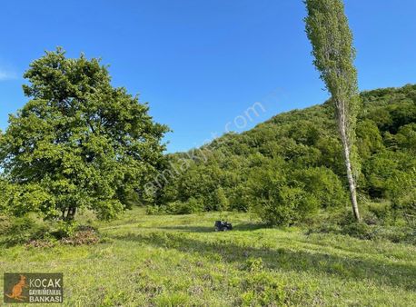 Muhteşem Doğa Ve Göl Manzarasıyla Göllüce Köyünde 3981m2 Arazi