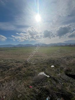 Altuntaş’ta Satılık Cadde Üzeri Tarla