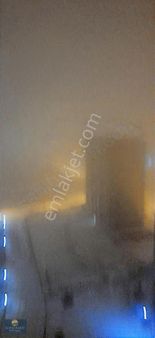 Ankara Haymana Türk Şereflide Satılık Tek Tapu Tarla