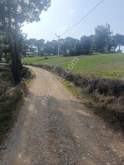 Antalya-kaş-yaylapalamut Mahallesinde 1650.59 M2 Satılık Tarla