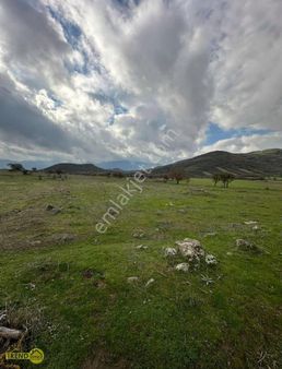 Sındırgı Küçükbükü 2000 M2 Satılık Tarla