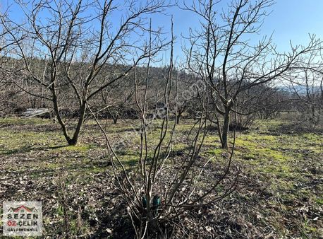 Çanakkale Bayramiç 'te Satılık Tarla