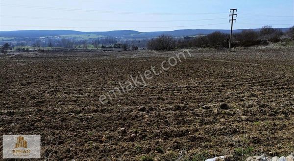 Kırklareli Vize Pazarlı Köyü 2.301 M² Tek Tapu Müstakil Tarla