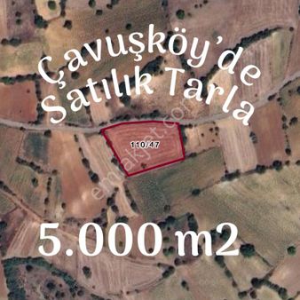 Altınbaş Emlak'tan Çavuşköy'de Satılık Tarla