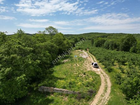 Kandıra Çalca'da Ormana Cepheli Teras Konumda 1000 M2 2b Tarla