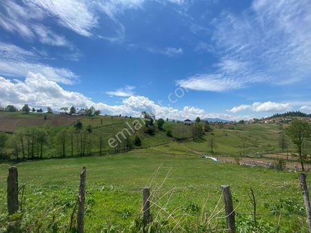 Çambaşı Turnalık Mahallesinde Satılık Tarla