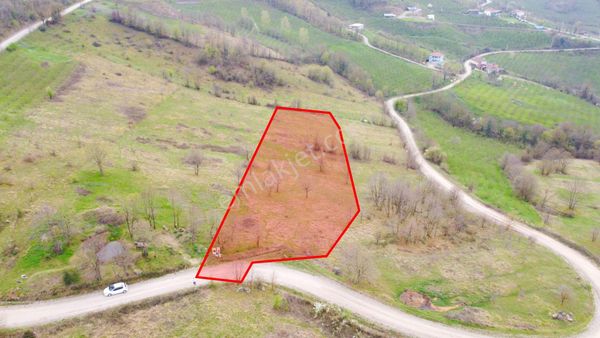 Gümüşova Yıldıztepe Köyü'nde Manzaralı 8.107 M2 Satılık Tarla