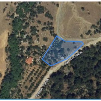 Manisa Şehzadeler Ayvacık Mahallesinde Satılık Tarla