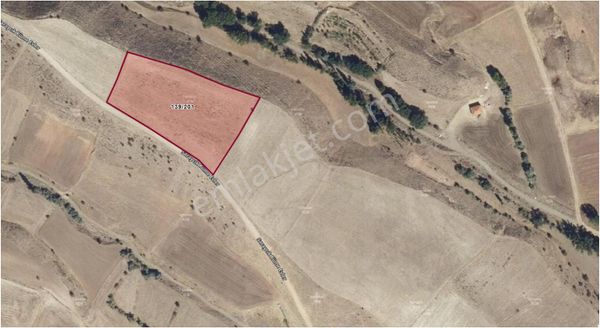 Kocasinan Saraycık 9487 Metre Satılık Tarla