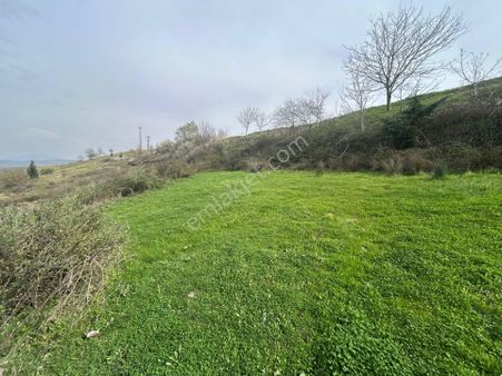 Kocaeli Karamürsel Kızderbent %5 İmarlı Satılık 7060 M2 Tarla