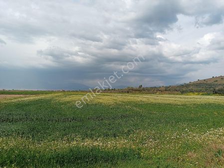 Baron Emlak'tan Esenköy'de Satılık Tarla