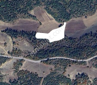 [nova] Bilecik Osmaneli 8 Bucuk Dönüm Yatırımlık Tarla