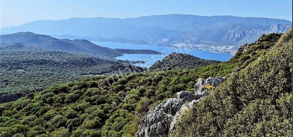 Antalya Kaş Bayındır Limanağzı Satılık Tek Tapu Kök Tapu Arazi