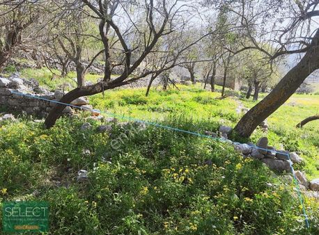 Marmaris Taşlıca Köyü'nde, 2 Adet Satılık Tarla