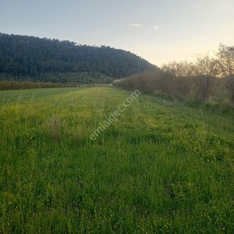 Muğla Ortaca Güzelyurt Akdoğan Satılık Tarla