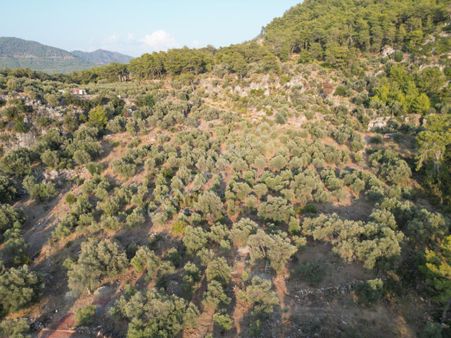 Günel Emlaktan Acil Satılık Tarla