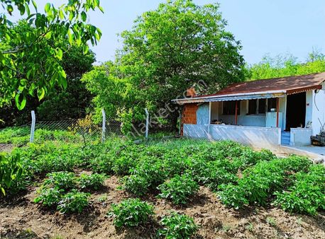 Dursunbey Merkezde Hobi Bahçesi