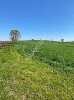 Gönen Asmalıdere Köyün'de 17.500 M² Satılık Tarla