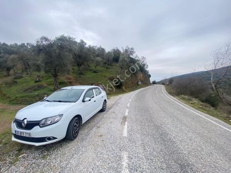 Bayındır Çenikler Köy Yakını Asfalt Yol Kenarı Satılık Zeytinlik