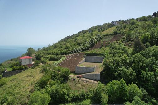 Akçaabat Mersi'nde Deniz Ve Doğa Manzaralı Villa Projeli Arsa