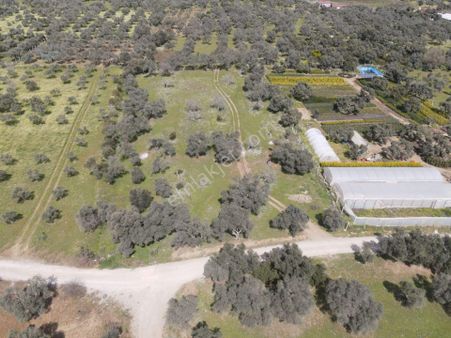 İzmir Bayındır Karahalli De Yatırımlık Bahçe!