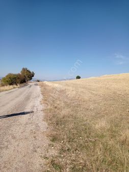 Bm"den Isparta Yalvaçta 22.666m2 Asfalt Yol Kenarı Arsa