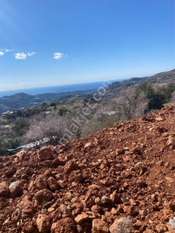 Alanya Yenice Mahallesi Muhteşem Deniz Manzaralı Satılık Tarla