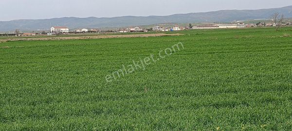 Gelibolu Evreşe De Merkeze Yakın Yol Cepheli Tarla