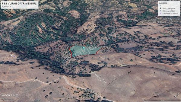 Aydın Efeler Horozköy’de 11.459 M² Tarla & Zeytinlik – Köye Yakın, Prefabrik Yapıma Uygun