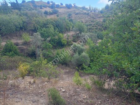 Alanya Taşbaşı Yola Sıfır