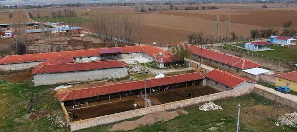 Century 21 Vizyon'dan Alpu Yolu Üzerinde Satılık Çiftlik