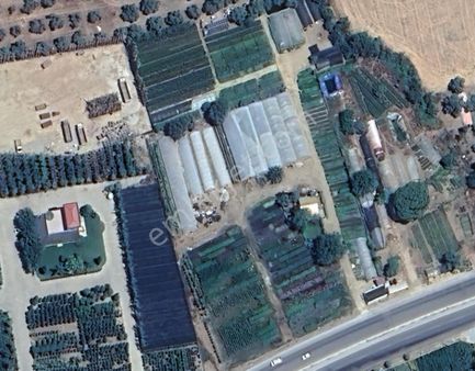 İzmir Bayındır Karahalli De Anayolda Satılık Seralı Tarla!