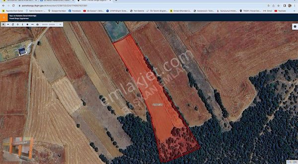 Başkan Emlaktan Satılık Yarımca Mah 2.434 M2 Tarla 3/1 Hisseli