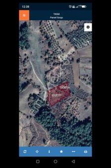 Bergama Kırcalar Mah Fırsat Zeytinlikler Satılık