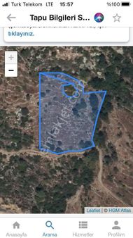 Dim Öteköy Satılık Tarla Açıklamayı Okuyunuz