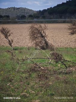Ümmetoğlu'ndan Yatırımlık Hobi Bahçesi Bağımsız 3'adet Parselenmiz
