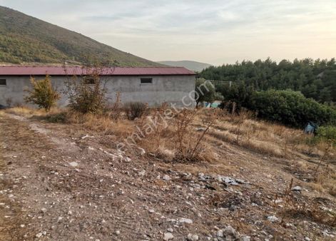 Manisa Saruhanlı Seyitoba Mahallesinde Satılık Mükemmel Arsa 🏡🌳✨