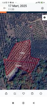 İznik Aydinlar Köyünde Süper Göl Manzaralı Zeytinlik Satılık