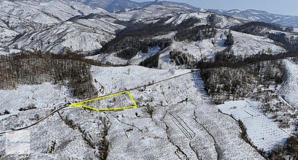 Öz-ak Tan Davutağa (acıelma) Köyünde Ana Yol Cepheli 3 Adet Arsa