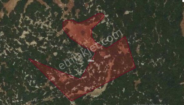 Geniş Ve Ucuz Tarla İsteyene 7 Dönüm Kelepir Fırsat Yatırımlık Tarla