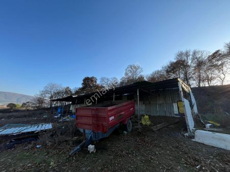 Susurluk Karapürçek Mah. İçeresinde Hazır Çiftlik Ve Bakım Evi