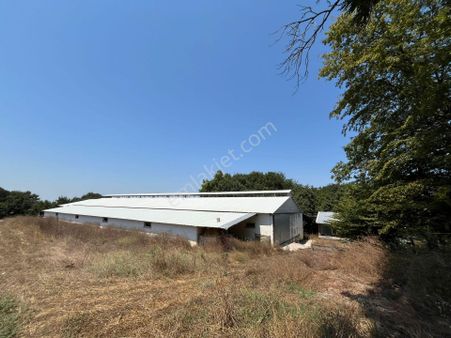 Gönen Koçbayır Mah. 70 Dönüm Satılık Büyük Baş Çiftliği